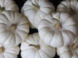 White Pumpkin